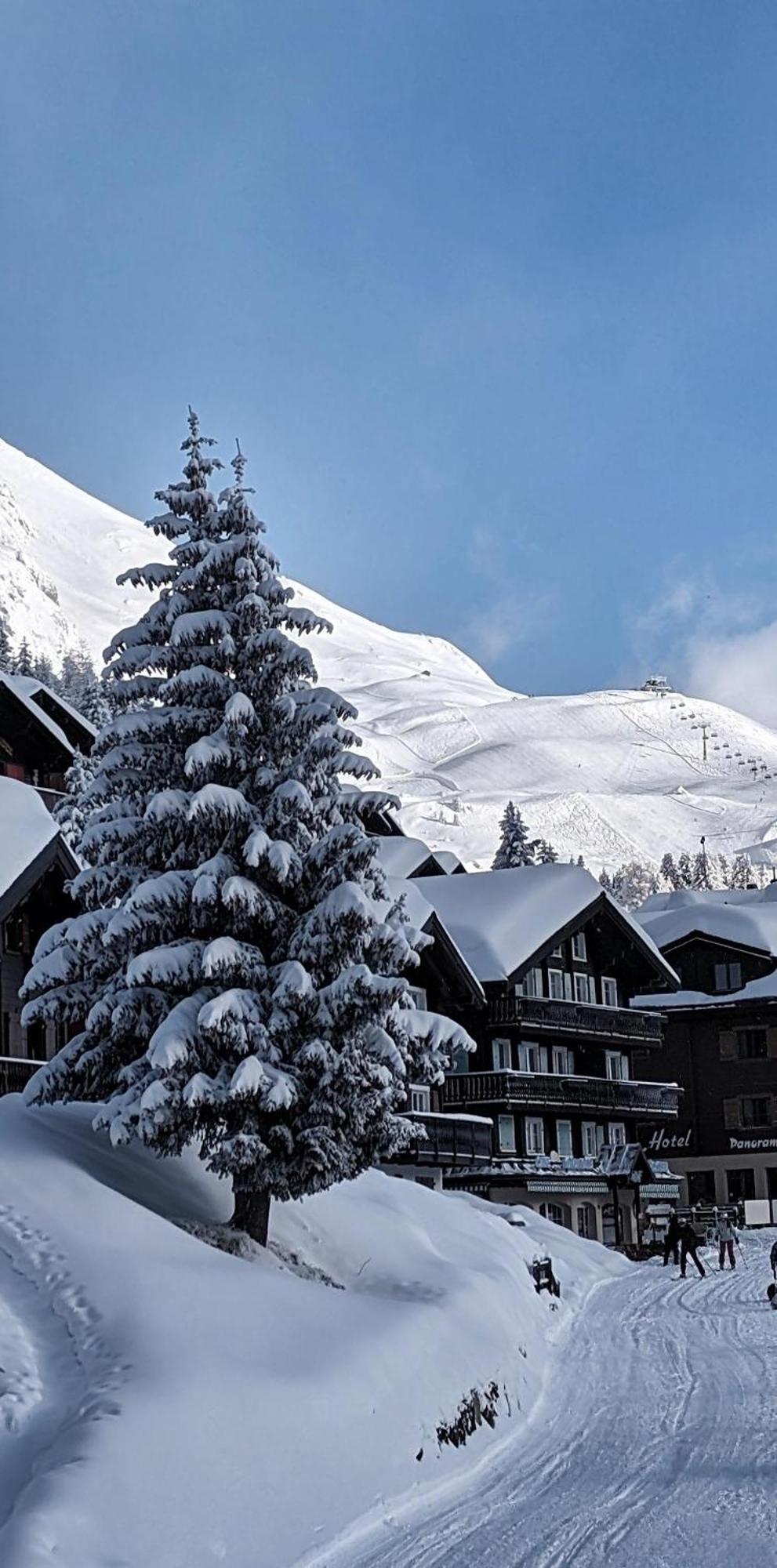 Gasthuis Imhof Alpine Bettmeralp